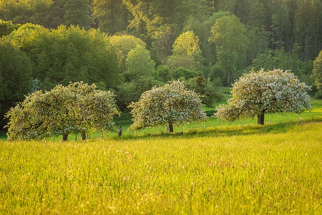 bylnická krajina